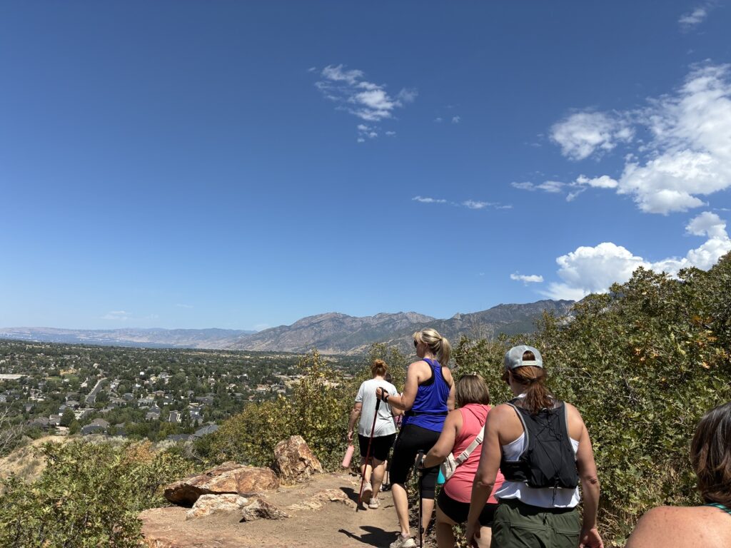 The programs featured image