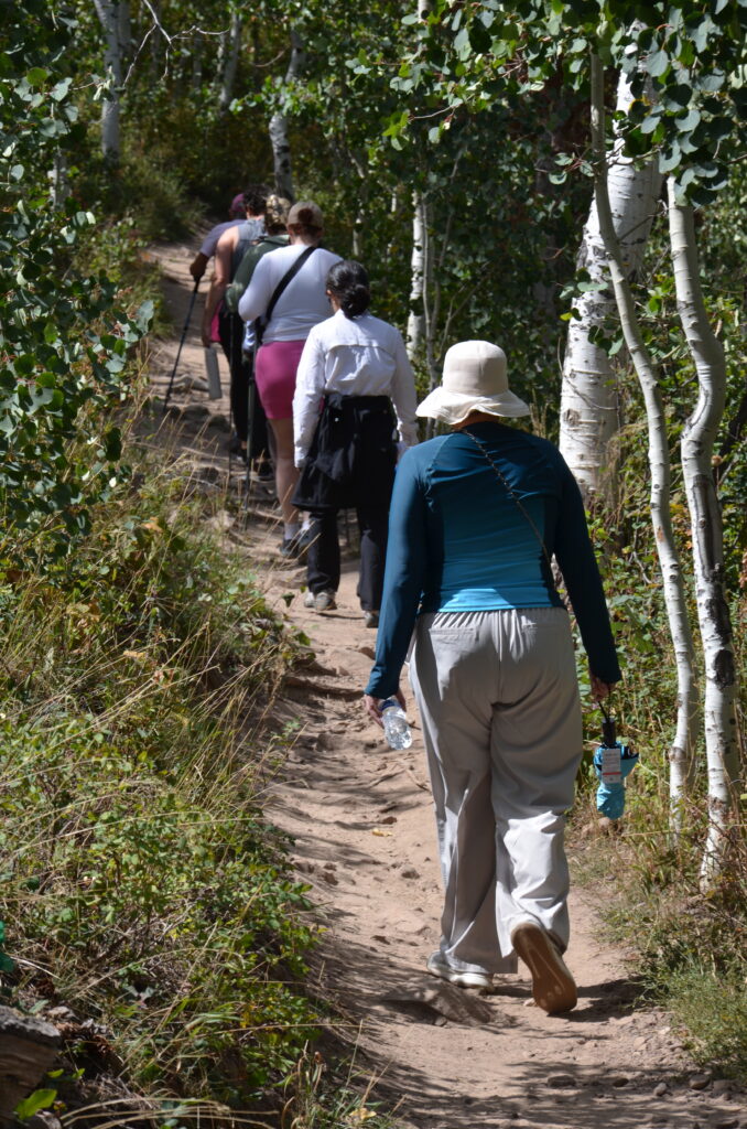 The programs featured image
